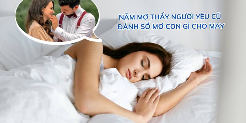 Nằm mơ thấy người yêu cũ thì đánh số mơ con gì cho may.