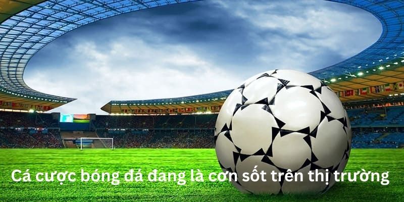 Cá cược bóng đá trở thành cơn sốt trên thị trường