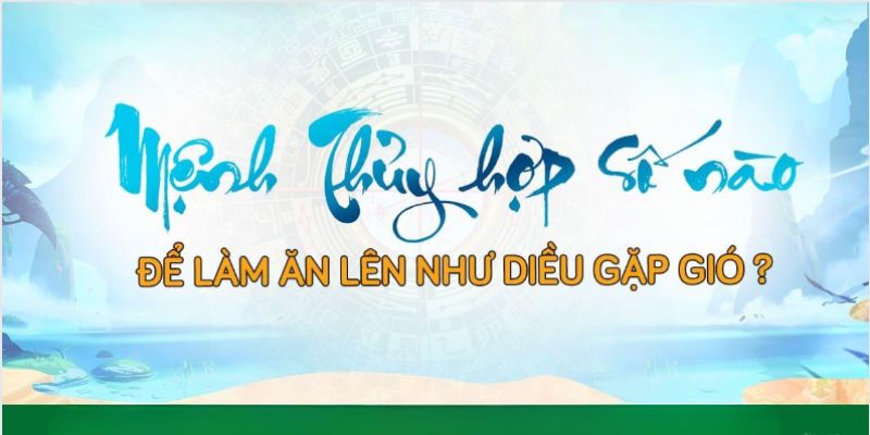 Những con lô phù hợp cho người hành thủy